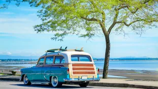 201 Woodie