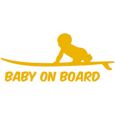 304 Baby in Board
