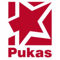 402 Pukas Surfboards