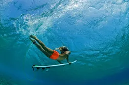 141 Surfer Girl
