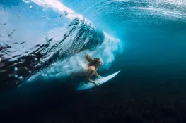 133 Surfer Girl