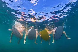 146 Surfer Girl